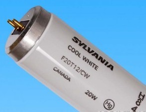 CWF燈管 SYLVANIA F20T12/CW USA&CANADA 60cm